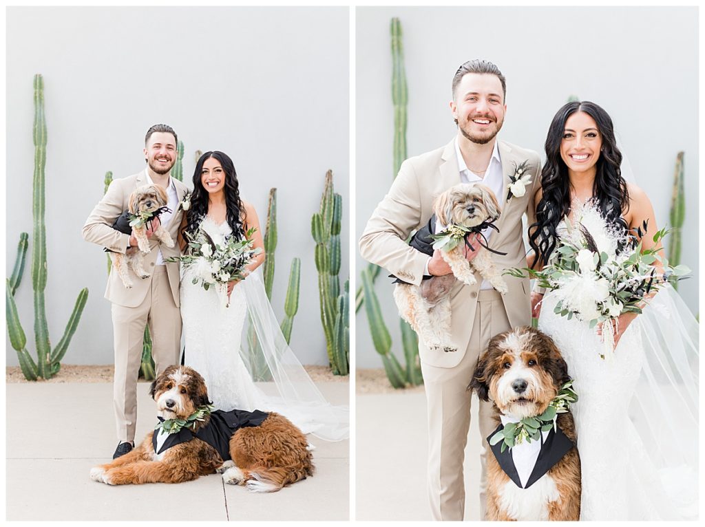 a bride, groom, and their two dogs. the groom is holding one small dog and a larger curly haired lays on the ground 