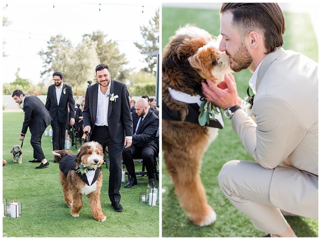 The groom kissing his bernedoodle on his wedding day