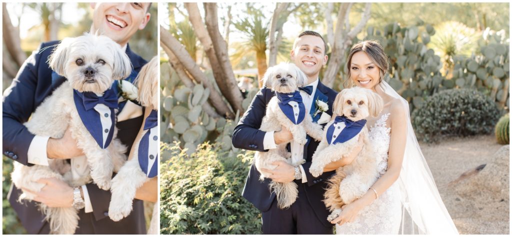 bride and groom before scottsdale wedding with two small white dogs